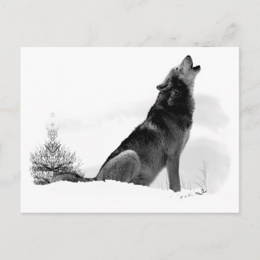 Alaskan Timber Wolf Briefkaart (Voorkant)