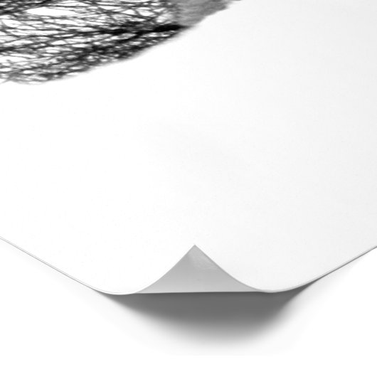 Alaskan Timber Wolf Poster (Hoek)