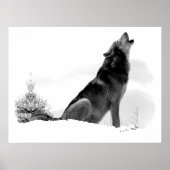 Alaskan Timber Wolf Poster (Voorkant)
