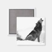 Alaskan Timber Wolf Refig Magnet (Voorkant / Achterkant)