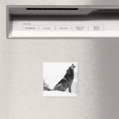 Alaskan Timber Wolf Refig Magnet (Insitu (Vaatwasser))