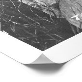 Alaskan Totem Pole 1912 Poster (Hoek)