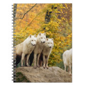 Alaskan White Wolves in het bos Notitieboek (Voorkant)
