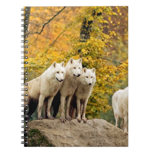 Alaskan White Wolves in het bos Notitieboek (Voorkant)