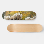 Alaskan White Wolves in het bos Persoonlijk Skateboard (Horizontaal)