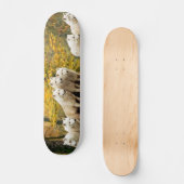 Alaskan White Wolves in het bos Persoonlijk Skateboard (Voorkant)