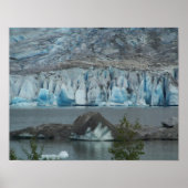 Alaskan Wilderness Poster Print (Voorkant)