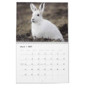 Alaskan Wildlife Agenda Kalender (Mar 2027)