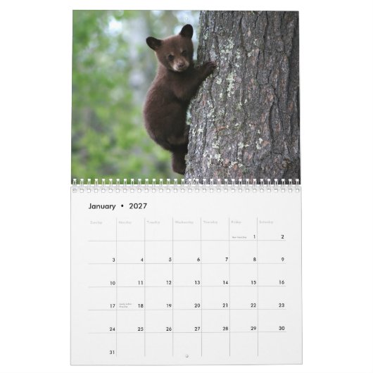 Alaskan Wildlife Agenda Kalender (Jan 2027)