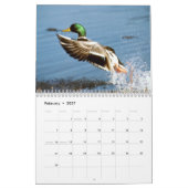 Alaskan Wildlife Agenda Kalender (Feb 2027)