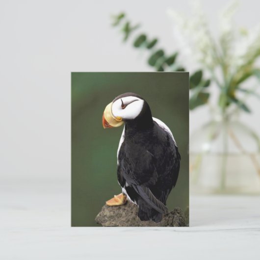 Alaskan Wildlife Briefkaart (Staand voorkant)