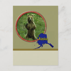 Alaskan Wildlife Briefkaart