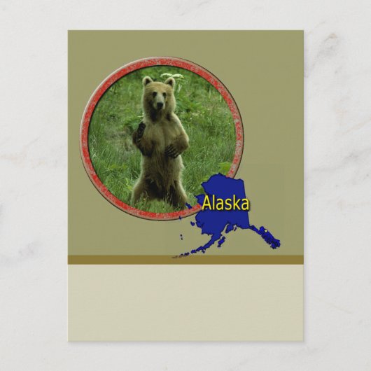 Alaskan Wildlife Briefkaart (Voorkant)