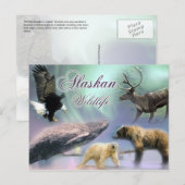 Alaskan Wildlife Briefkaart (Voorkant / Achterkant)
