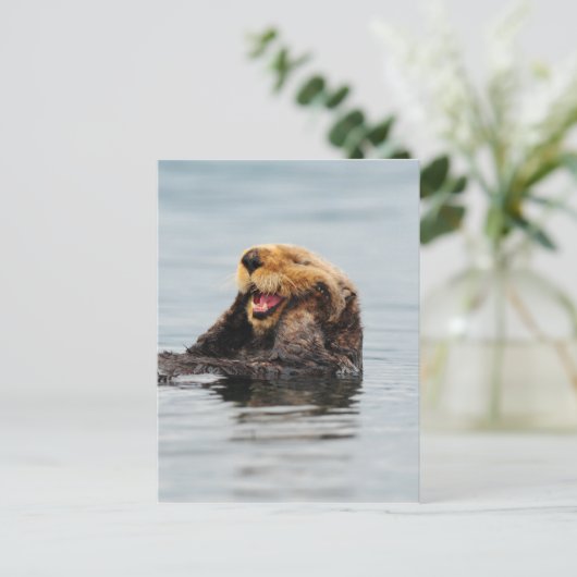 Alaskan Zee Otter Briefkaart (Staand voorkant)