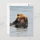 Alaskan Zee Otter Briefkaart (Voorkant / Achterkant)