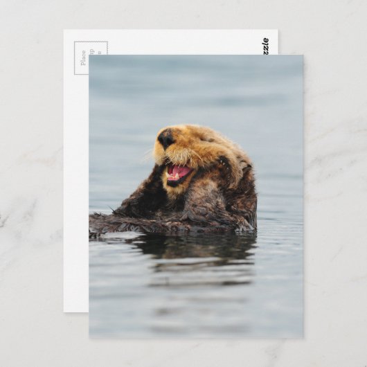 Alaskan Zee Otter Briefkaart (Voorkant / Achterkant)