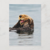 Alaskan Zee Otter Briefkaart (Voorkant)