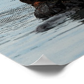 Alaskan Zee Otter Poster (Hoek)