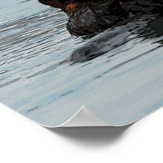 Alaskan Zee Otter Poster (Hoek)