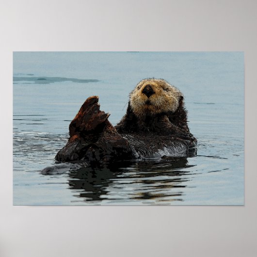 Alaskan Zee Otter Poster (Voorkant)