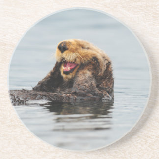 Alaskan Zee Otter Zandsteen Onderzetter