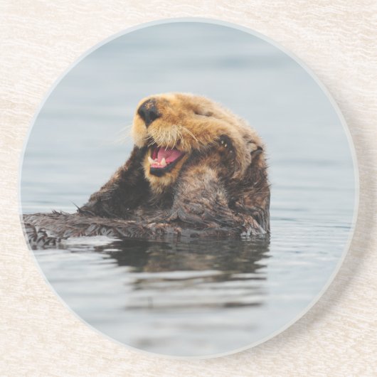 Alaskan Zee Otter Zandsteen Onderzetter (Voorkant)