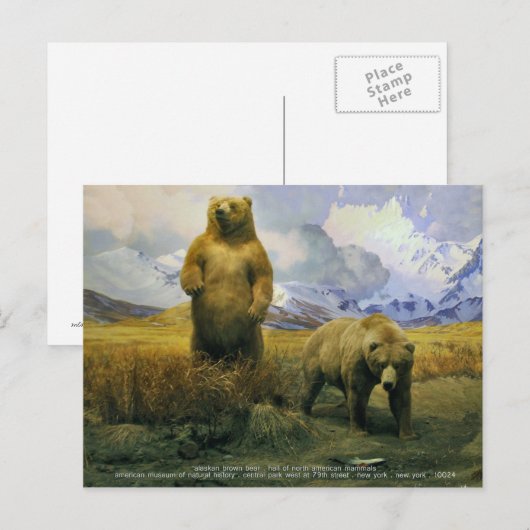 alaskanbruin beer briefkaart (Voorkant / Achterkant)