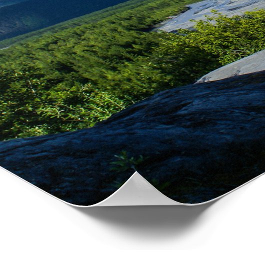 Alaska's Exit Glacier Valley Poster (Hoek)