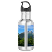 Alaska's Exit Glacier Valley Stainless Steel Water Waterfles (Achterkant)
