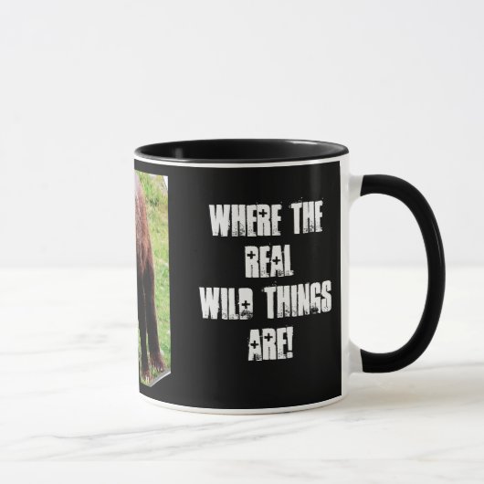 Alaska's Homeland Security 3-D Mok (Rechts)