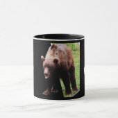 Alaska's Homeland Security 3-D Mok (Midden)