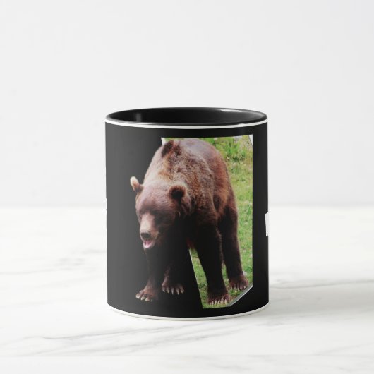 Alaska's Homeland Security 3-D Mok (Midden)