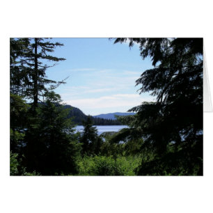 Alaskisch Landschap Mooie Alaska Fotografie