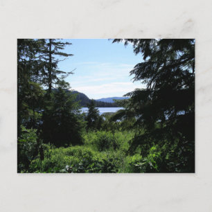Alaskisch Landschap Mooie Alaska Fotografie Briefkaart