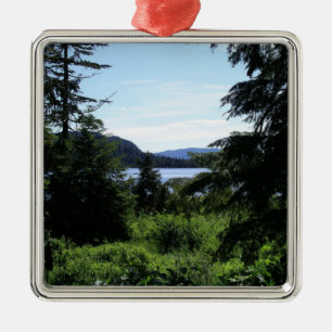 Alaskisch Landschap Mooie Alaska Fotografie Metalen Ornament