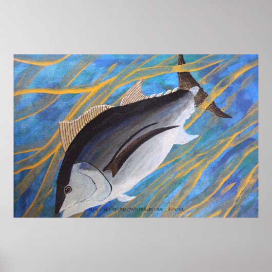 Albacore Poster (Voorkant)