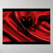 Albanees Eagle Poster (Voorkant)
