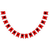 Albanese banners , Albanese vlagpartij / bruiloft (Alle)