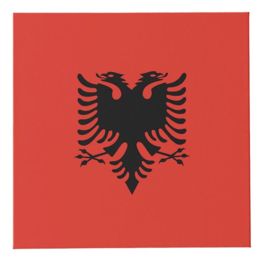 Albanese vlag kubus (Rechts)