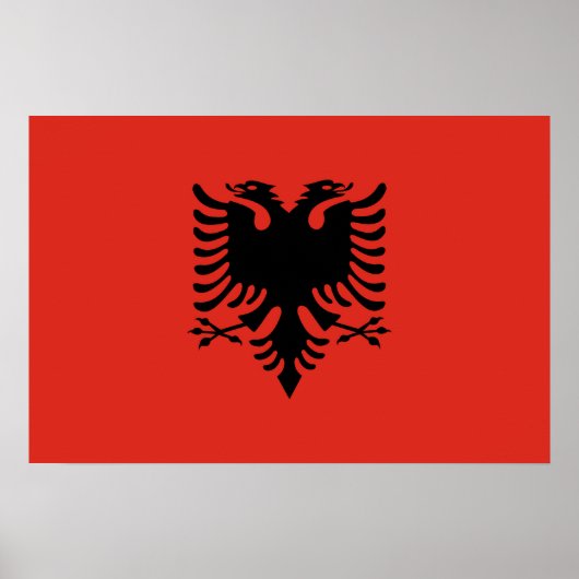 Albanese vlag poster (Voorkant)