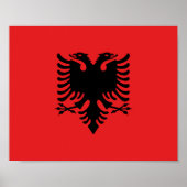 Albanese vlag poster (Voorkant)