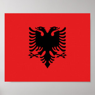 Albanese vlag poster