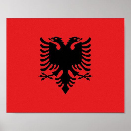 Albanese vlag poster (Voorkant)