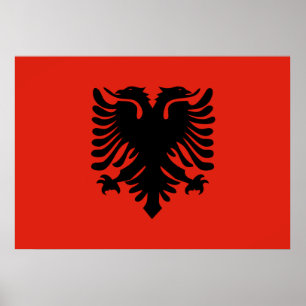 Albanese vlag poster