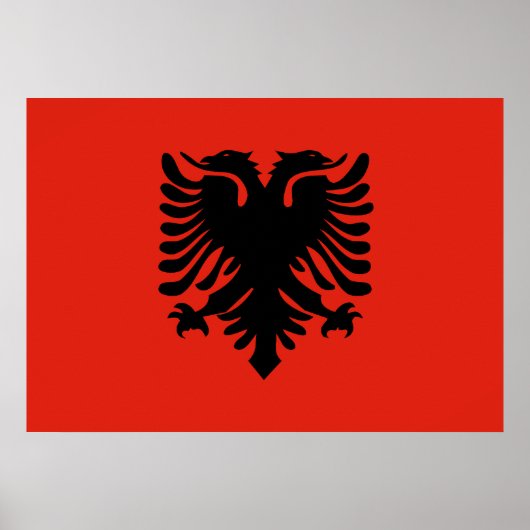 Albanese vlag poster (Voorkant)