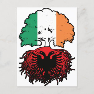 Albanië Albanese Ierse vlag - boomrootbomen Briefkaart