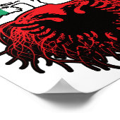 Albanië Albanese Ierse vlag - boomrootbomen Poster (Hoek)