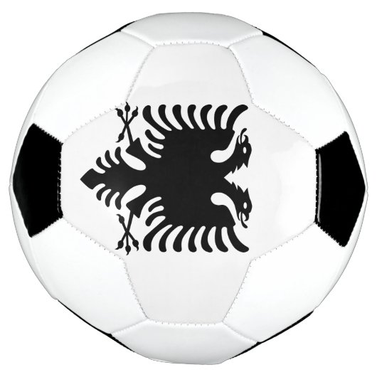 Albanië Voetbal (Gedraaid)