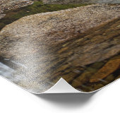 Albany Bridge, net van de Kancamagus Foto Afdruk (Hoek)